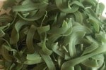Algue Spirulina Algue Spirulina